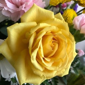 Meet your Posher, Elizabeth